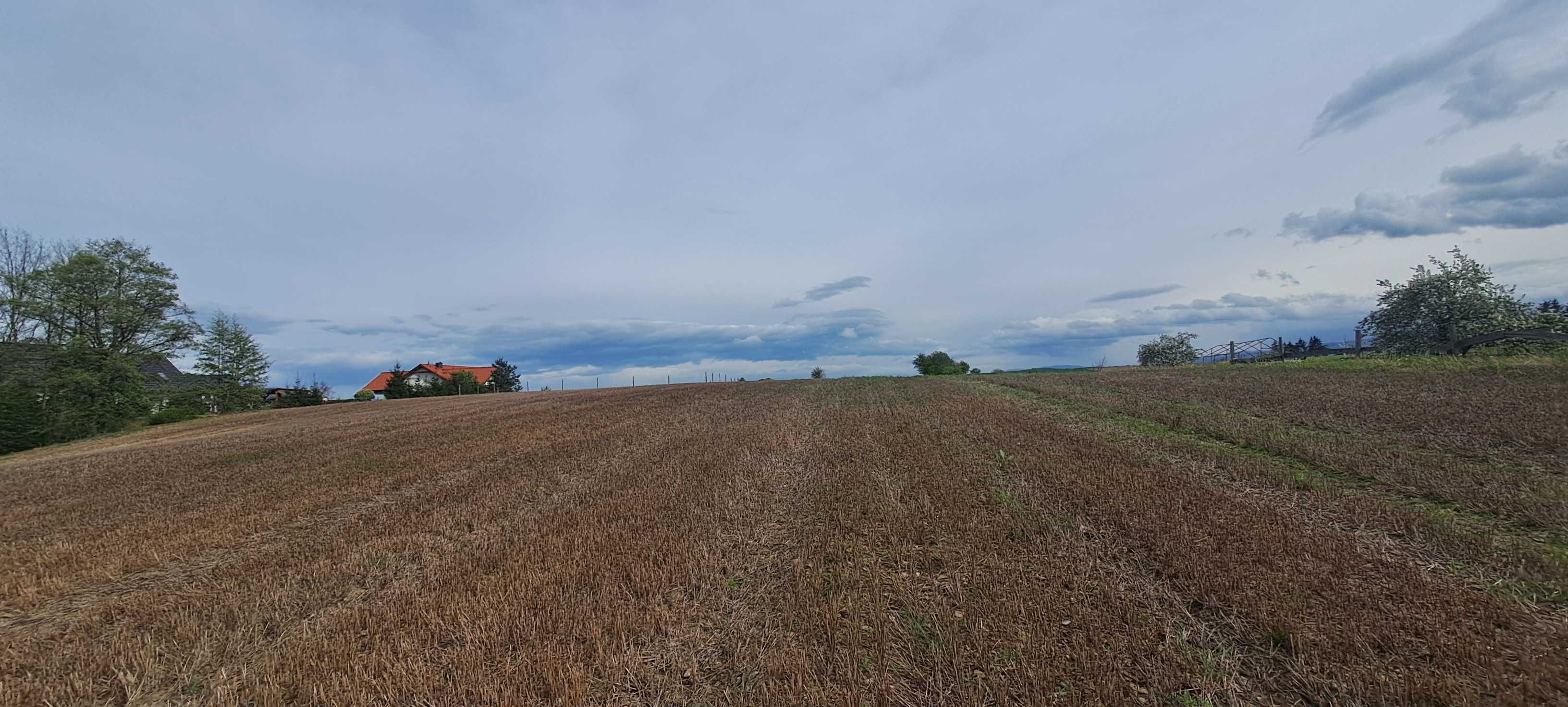 Atrakcyjna działka budowlana 3590 m2 w Strąkowej k. Ząbkowic Śląskich