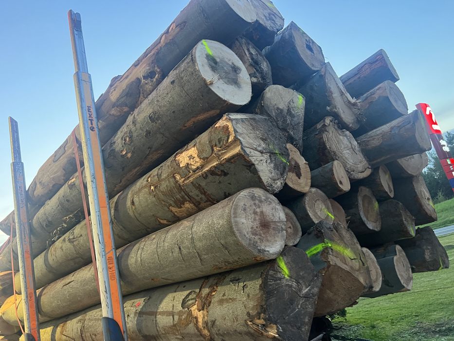 Drewno bukowe - opałowe