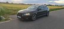 Audi A3 Audi A3 8P 1.6 mpi s line
