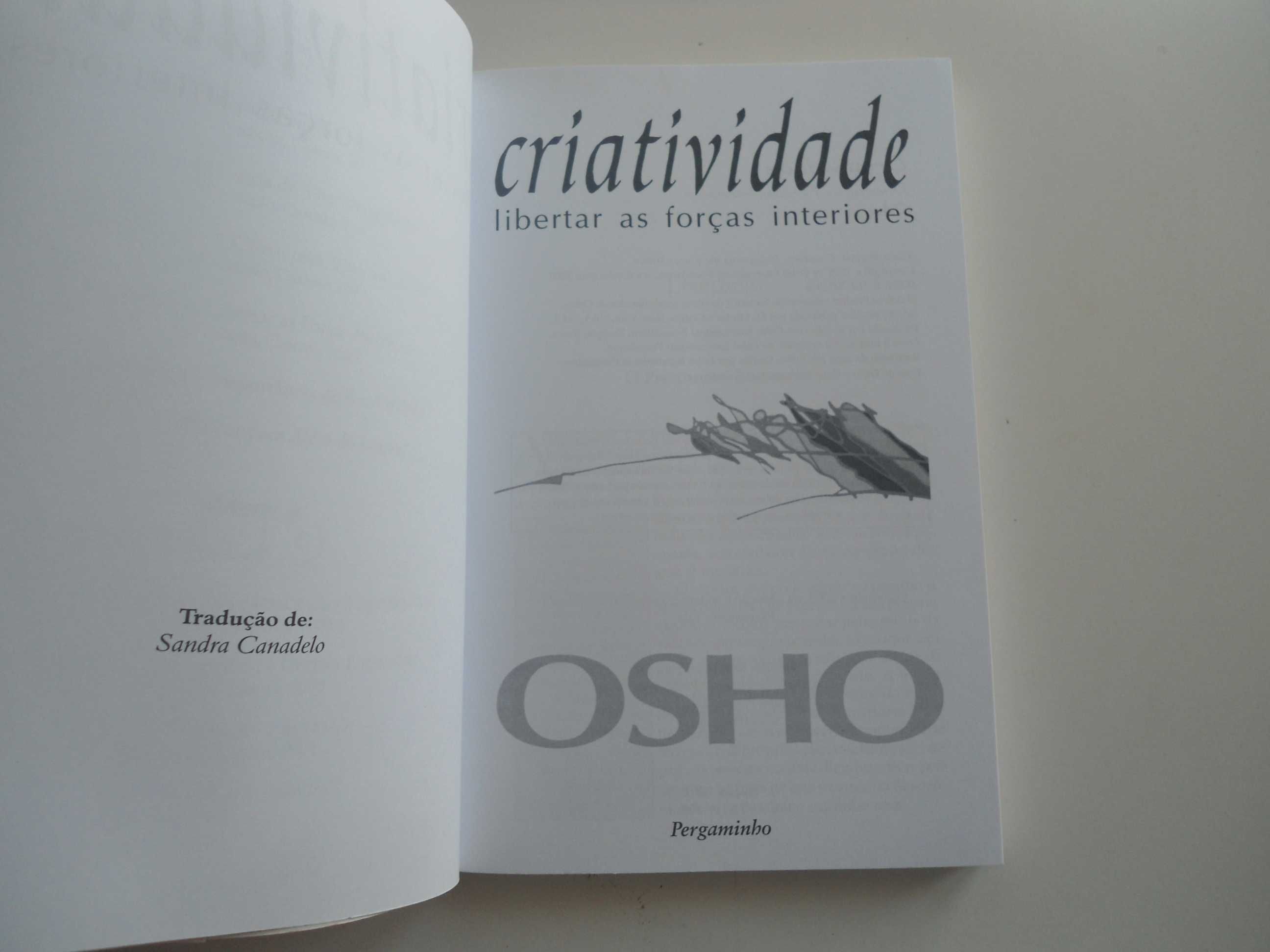 Criatividade-Libertar as forças interiores - OSHO