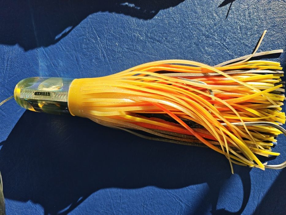 Amostras pesca curricar atum espadarte ....