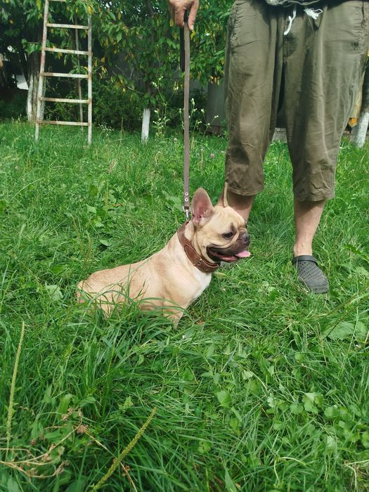 Чудова дівчинка готова переїхати в люблячу сім'ю