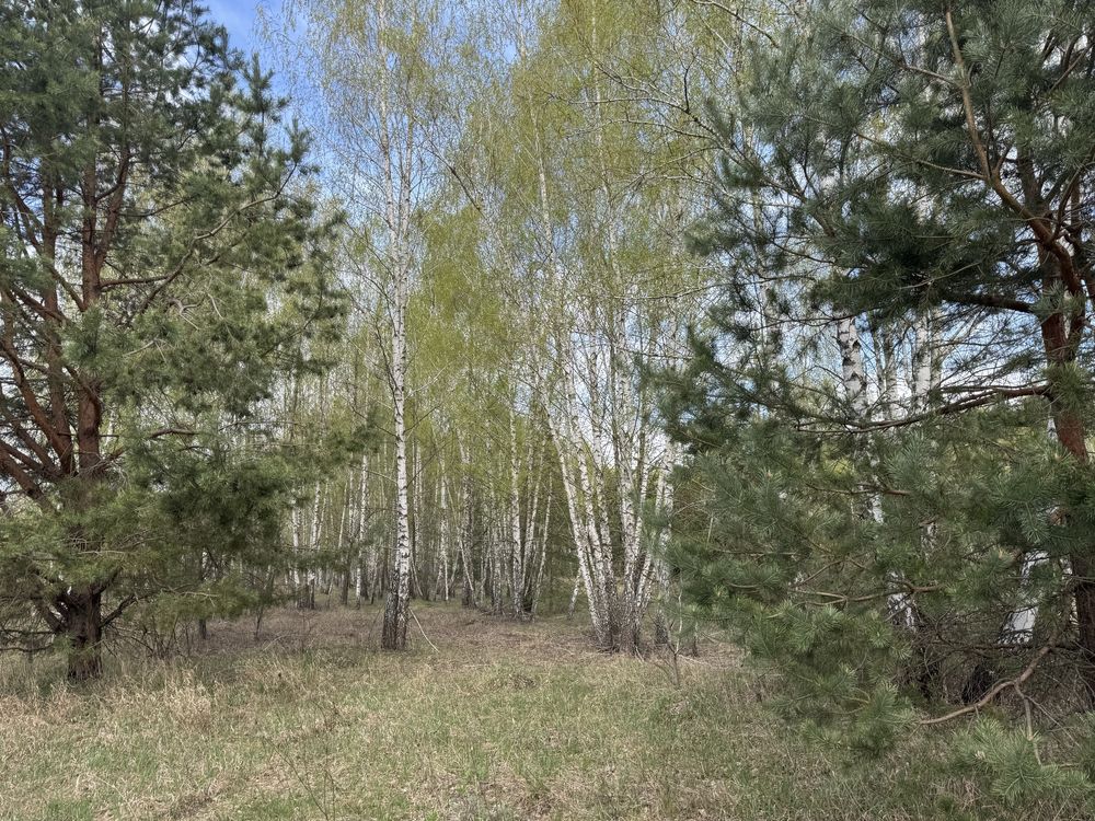 Земельна ділянка 13 га!!! Калинівка!