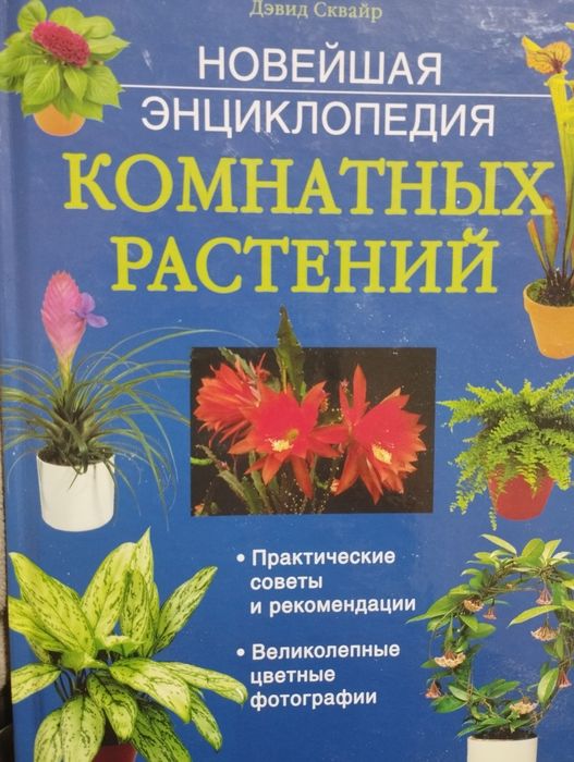 Энциклопедия комнатных растений