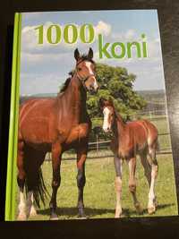 1000 Koni, pięknie ilustrowany album