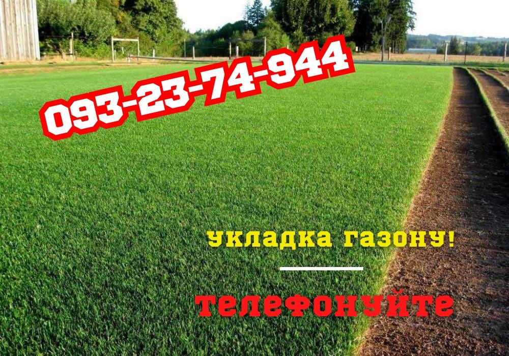 Під КЛЮЧ! Рулонний газон • Сіяний газон | КОНКУРЕНТНІ ЦІНИ!  Вся обл.