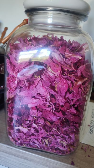 Suszone kwiaty piwonii