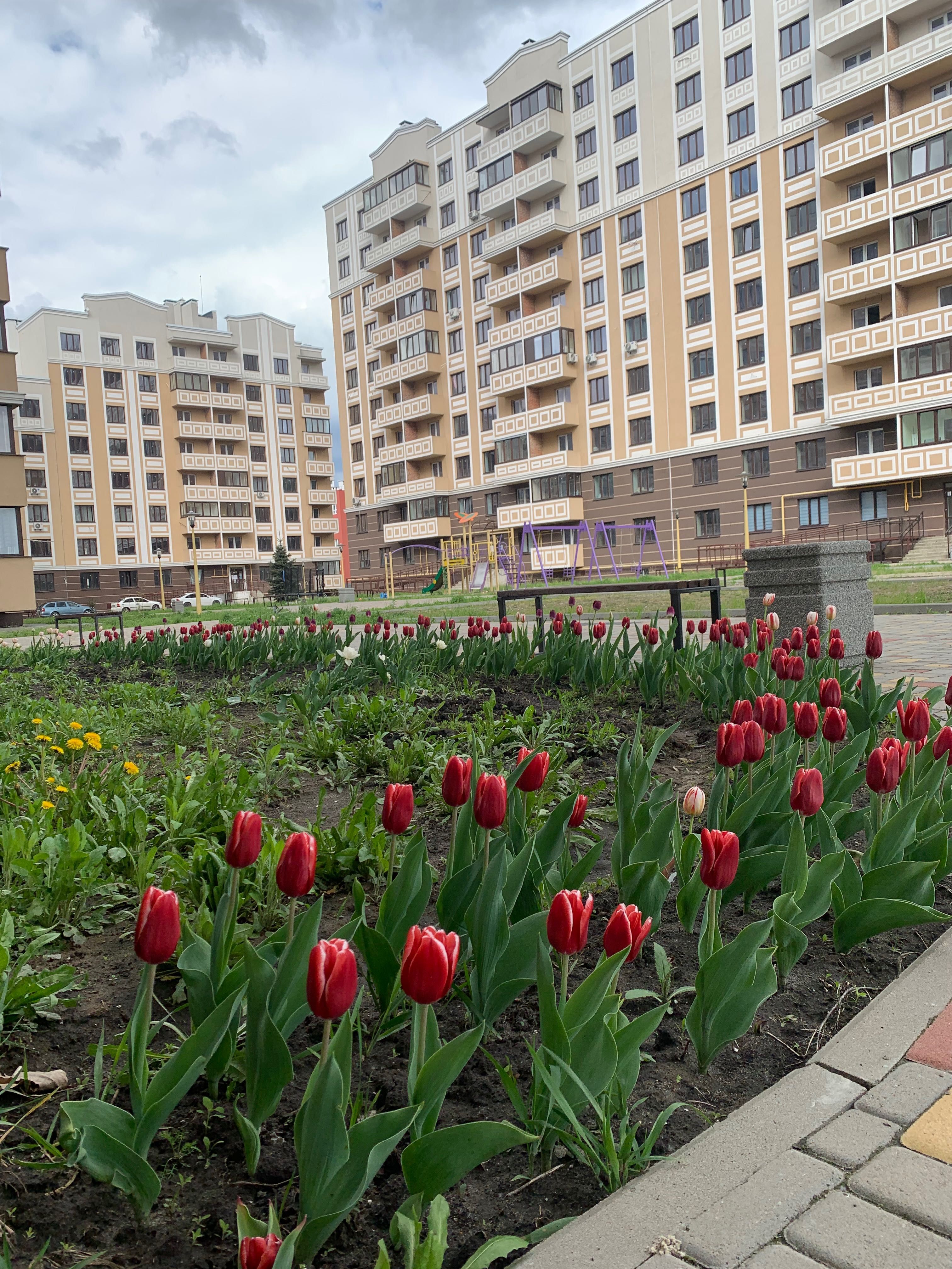 Однокімнатна Крюківщина|Вишневе|Теремки ГолосіЇво