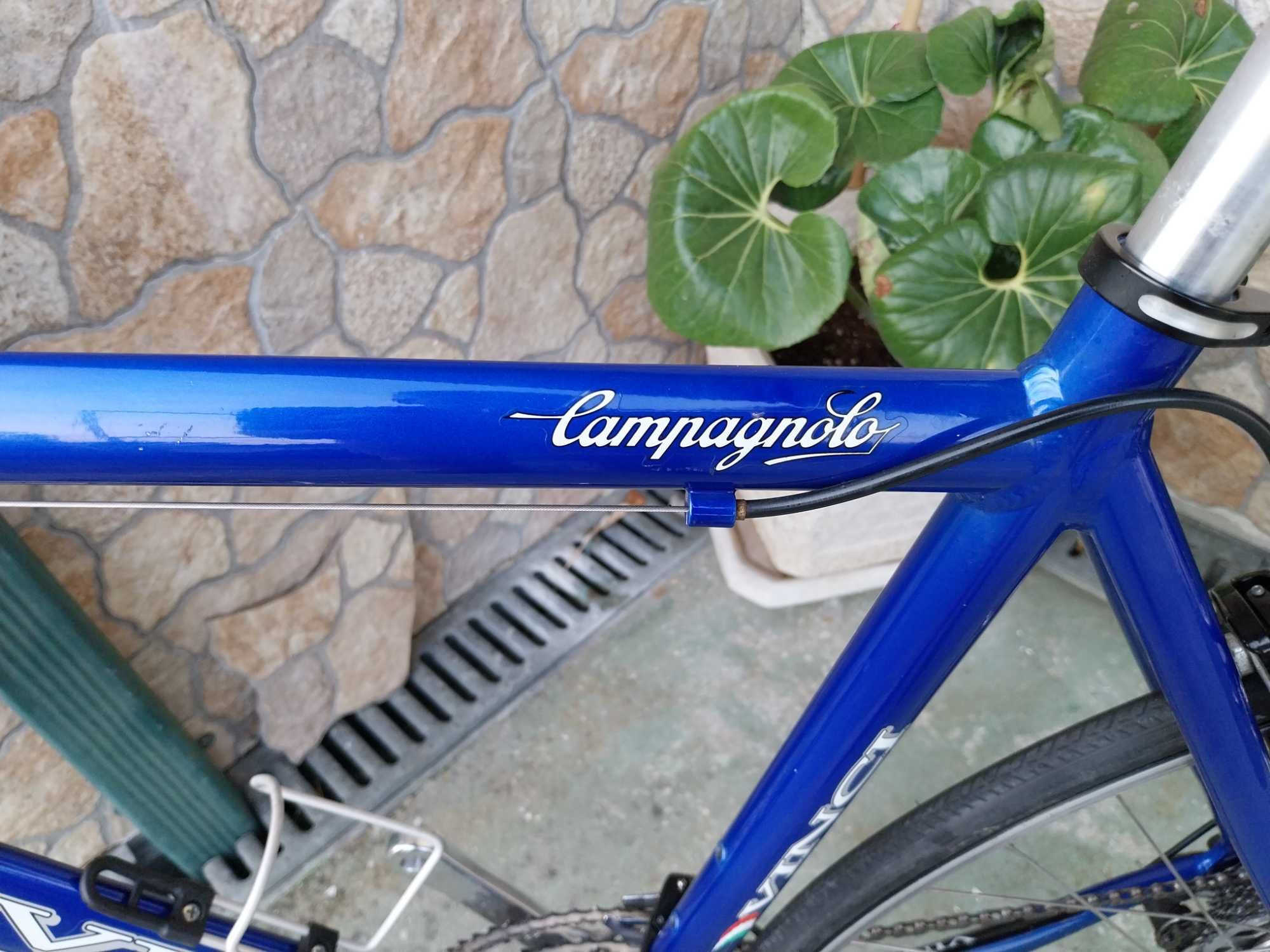 Bicicleta Italiana Vince Campagnolo