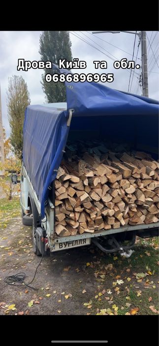 Дрова Київ та область от 2 м