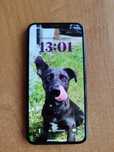 Iphone X 256 GB.