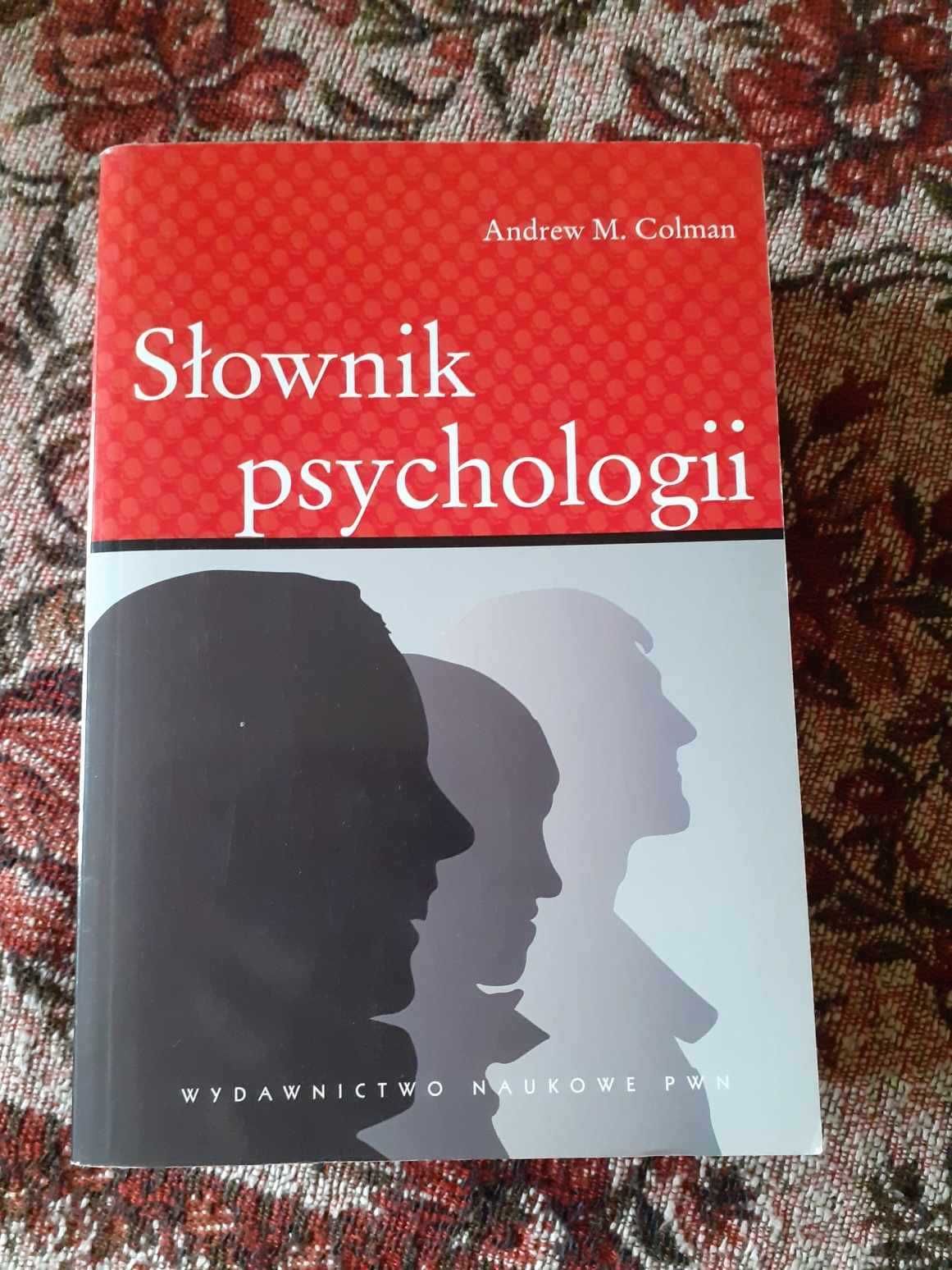 Słownik psychologii.