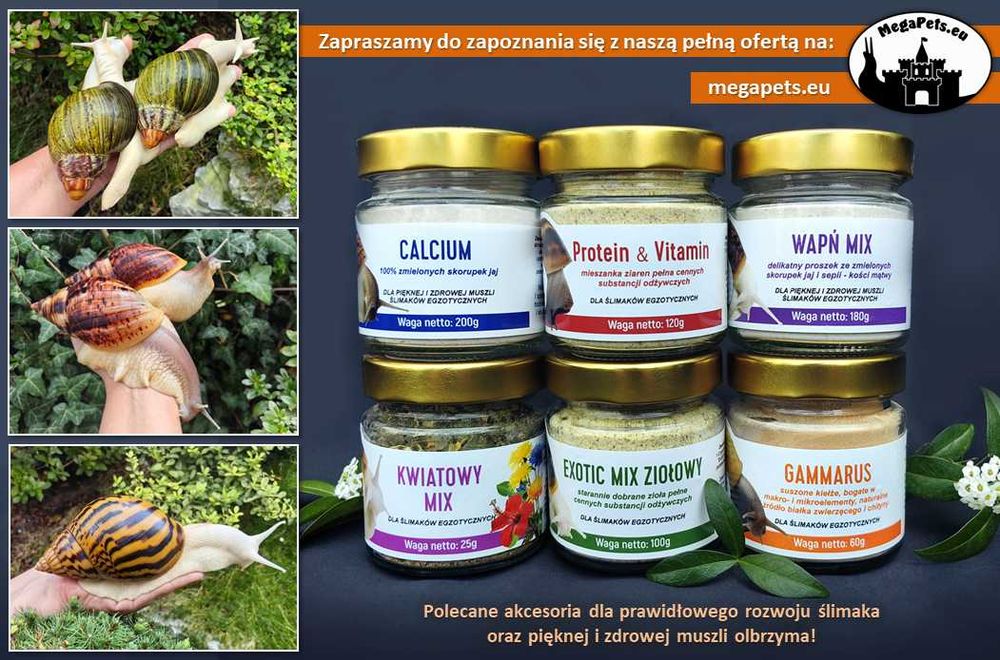 Kwiatowy mix Ślimaki Achatina Lissachatina Archachatina Suplementy