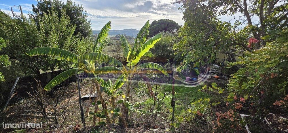 Terreno Agrícola em Bucelas (LXLR038)