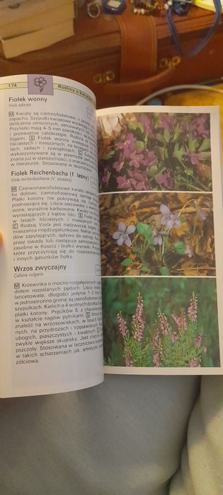Przewodnik roślin, zwierząt i grzybów na wycieczce