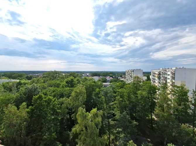 Kawalerka z balkonem, pet friendly, Rojna 52