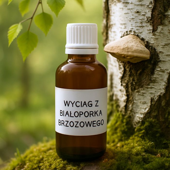 Wyciąg z Białoporka Brzozowego 50 ml