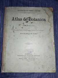 ATLAS DE BOTANICA DE 1898