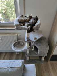 Duży wysoki drapak dla kota domek legowisko szary 110 cm