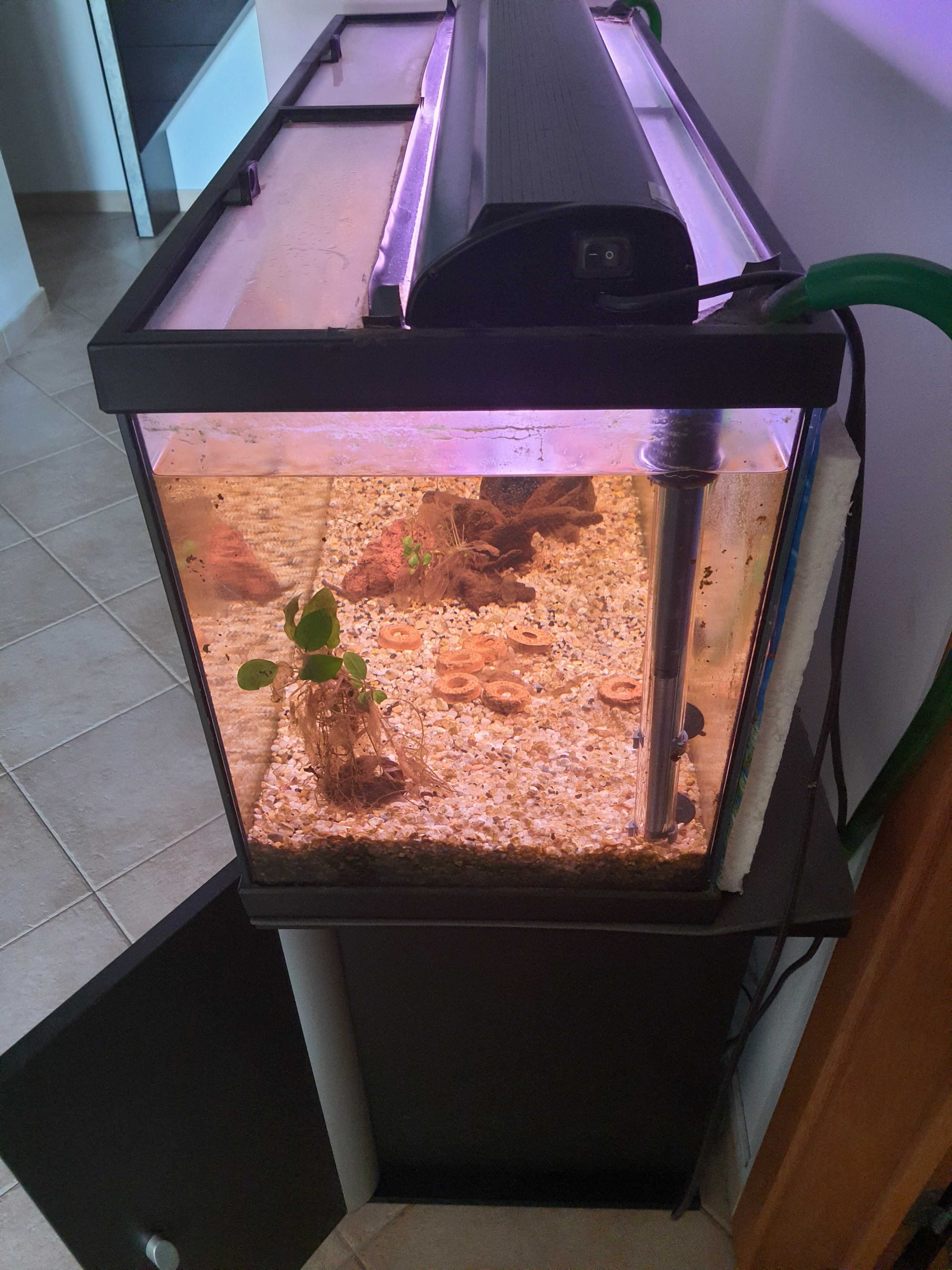 Aquario 80L com filtro externo e Móvel e outros