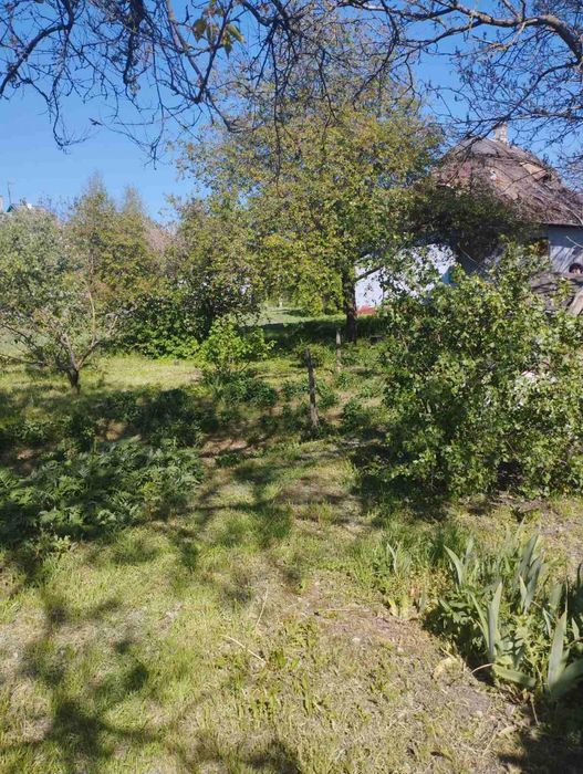 Продам будинок з великою ділянкою в Обухівці біля лісу