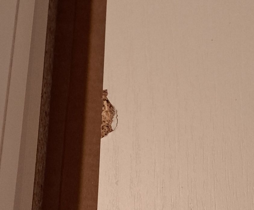 Łóżko 120 x 200 białe Majorka Bodzio