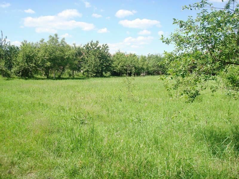 Działka budowlana z warunkami zabudowy Minkowice Oławskie