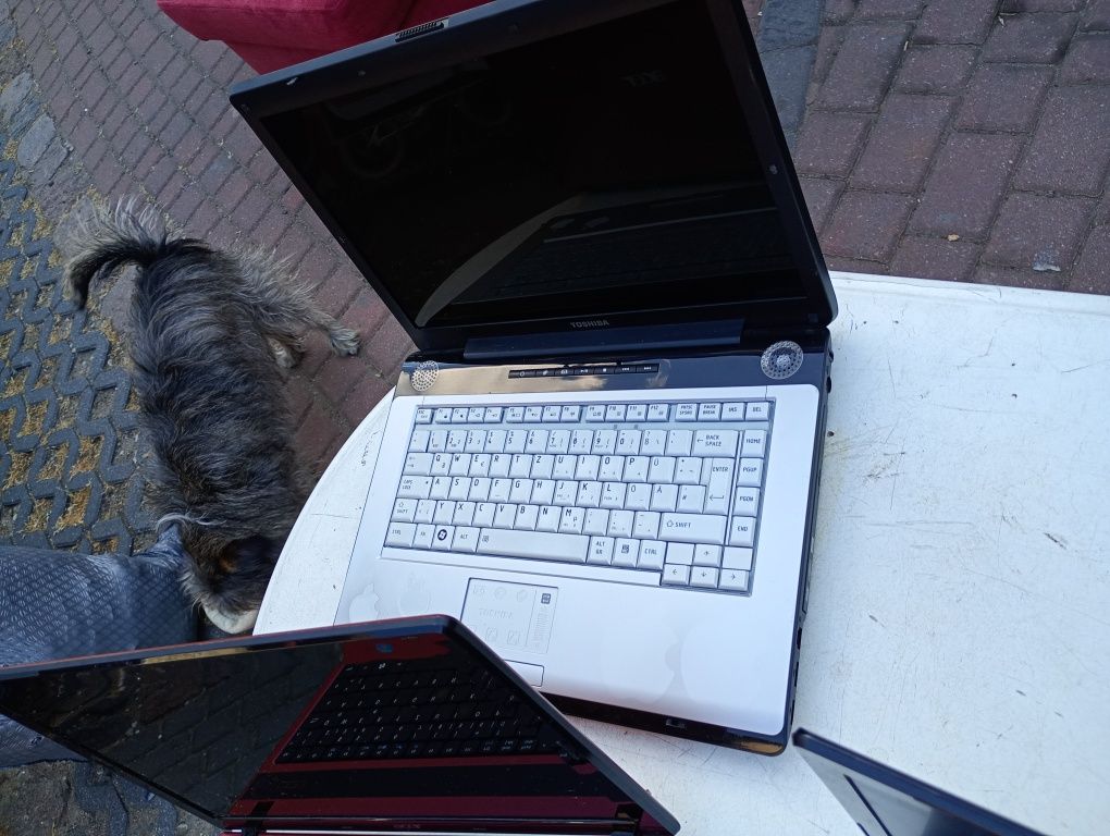 Laptopy laptopy laptopy