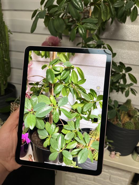 iPad Air 4 64GB LTE Rose Gold
