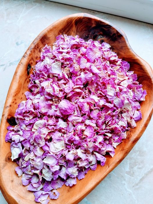 Листья чайной розы