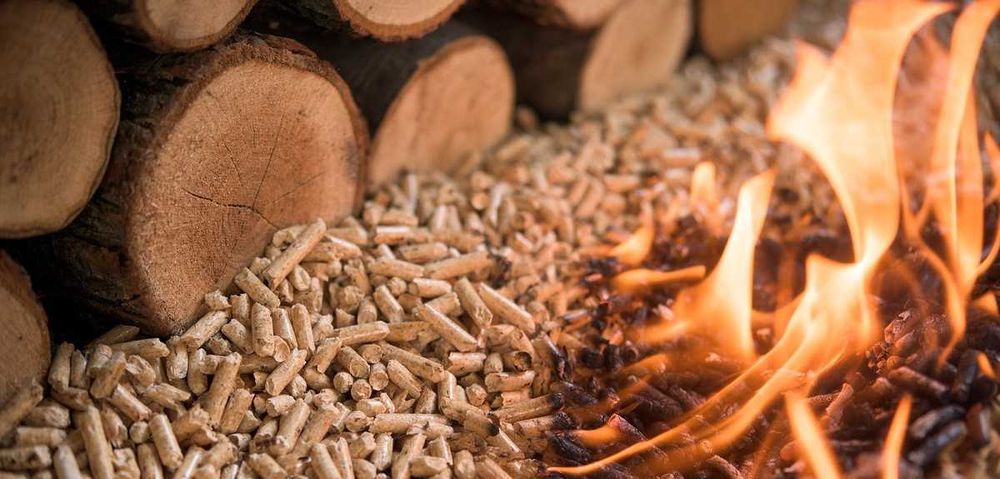 Pellet drzewny pelet iglasty opałowy dębowy sosnowy łódz brutto