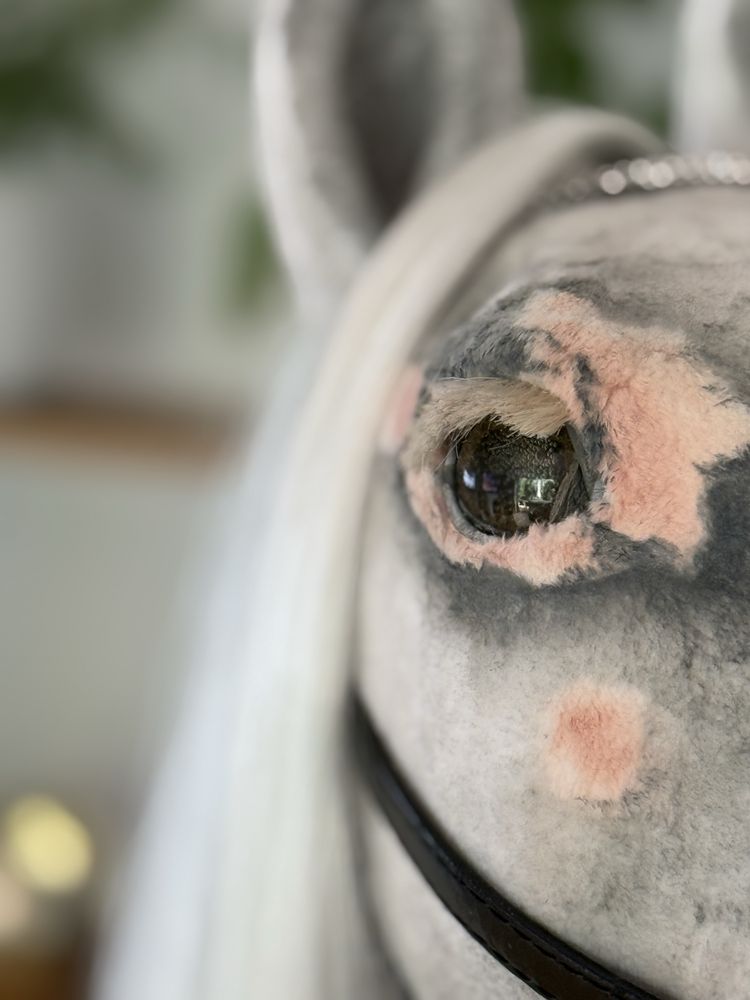 Hobby Horse - Jasminum Stable