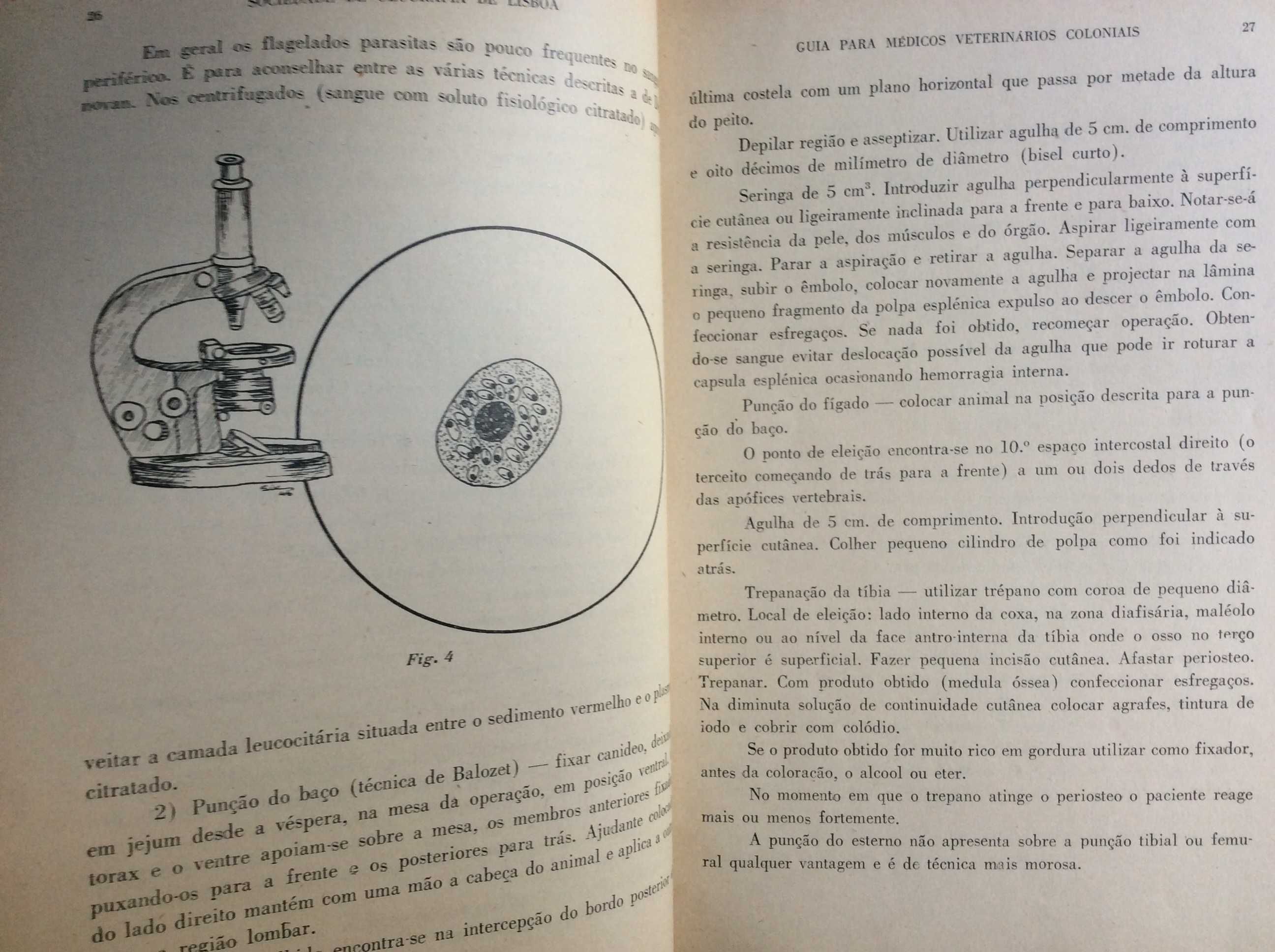 Boletim da Sociedade de Geografia de Lisboa. - 1947. Ver sumário