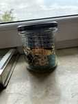 Mystery Jewelry Jar Vintage