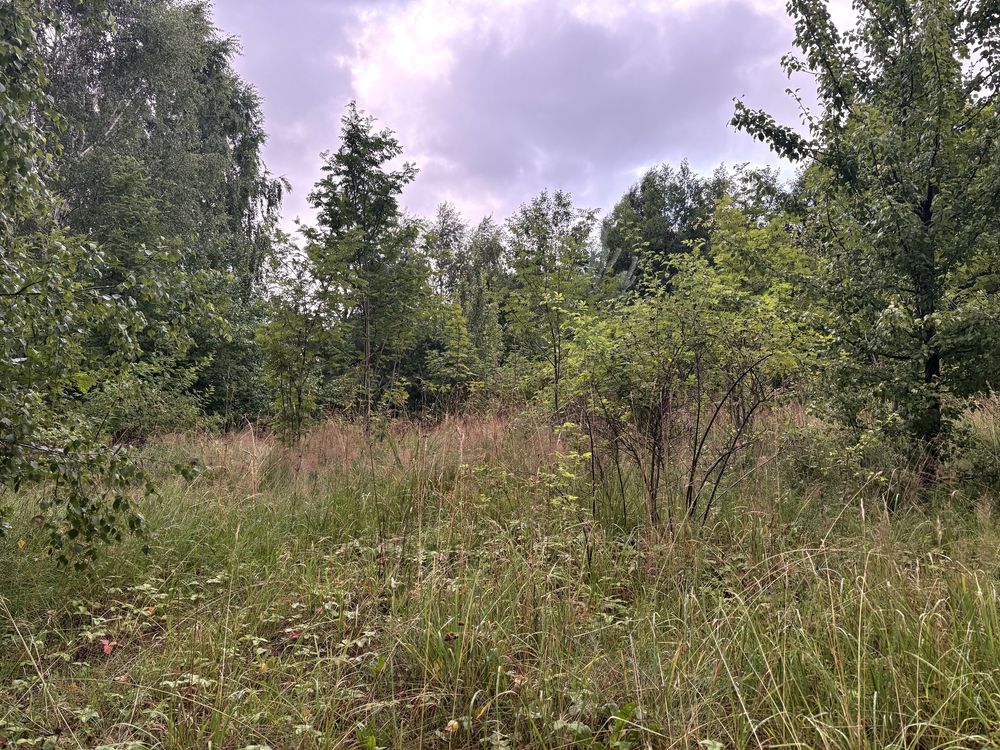 Dzialka rekraacyjna Wielki Podleś .Kaszuby