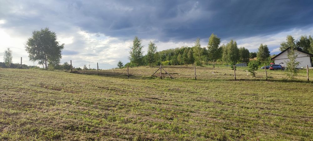 Wycinka drzew, czyszczenie nieużytków, zbieranie liści, koszenie trawy