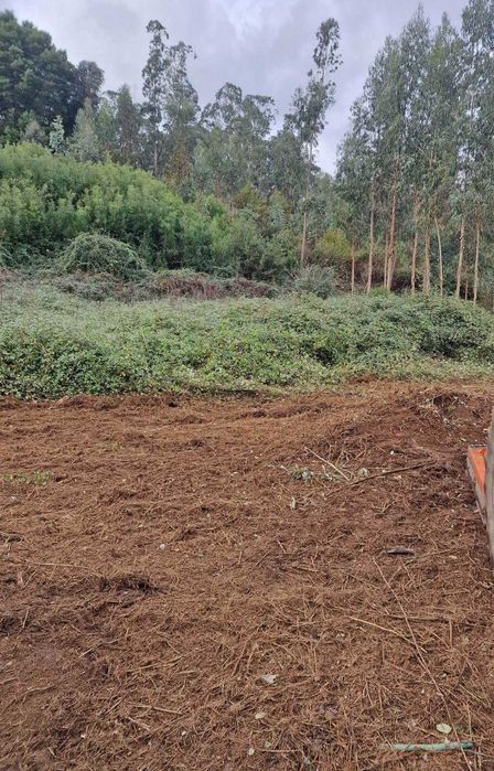 Limpeza Terrenos +Jardinagem +Trabalhos Agrícolas, SªMªFeira,Porto,etc