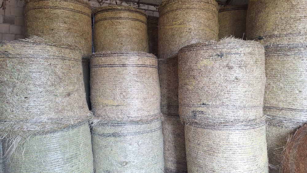 Siano Siano pierwszy pokos dobrze sprasowane