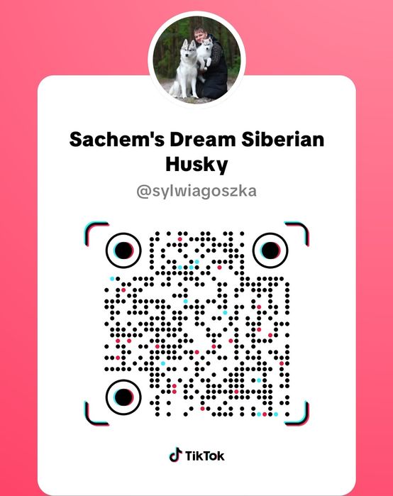 Siberian Husky FCI ZKwP