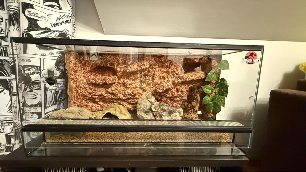 Terrarium 80x40x40