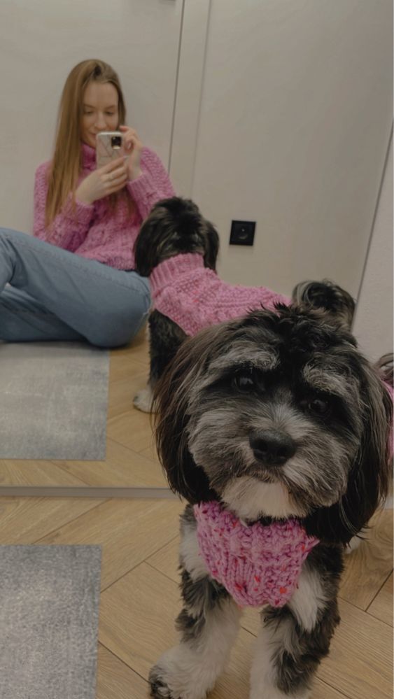 Zestaw ubranko sweter sweterek dla psa hand made czlowiek