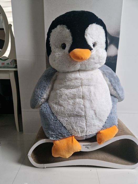 Pluszak maskotka pingwin