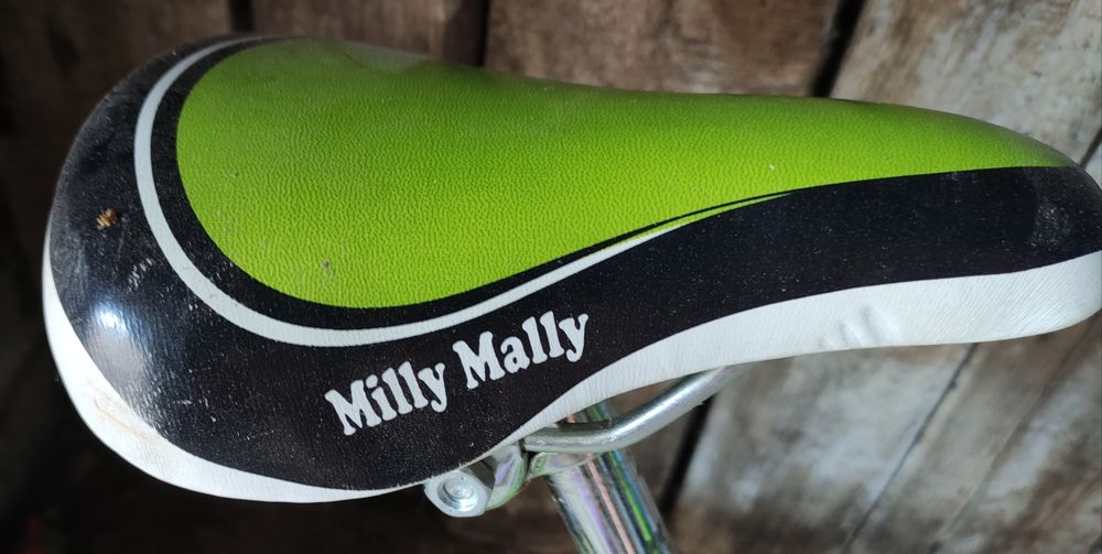 Rowerek biegowy Molly mally young