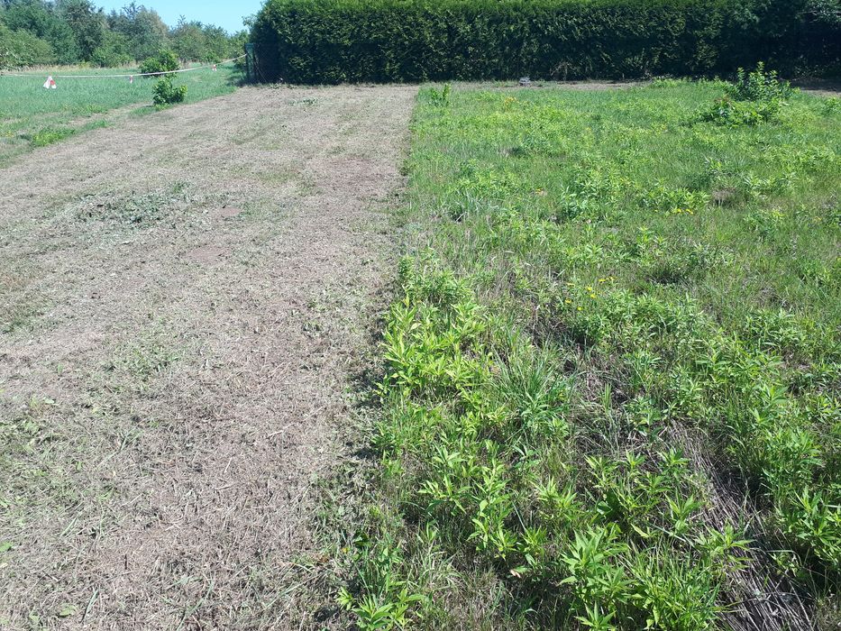 Prace ziemne,koszenie,glebogryzarka,minikoparka usługi,trawniki.