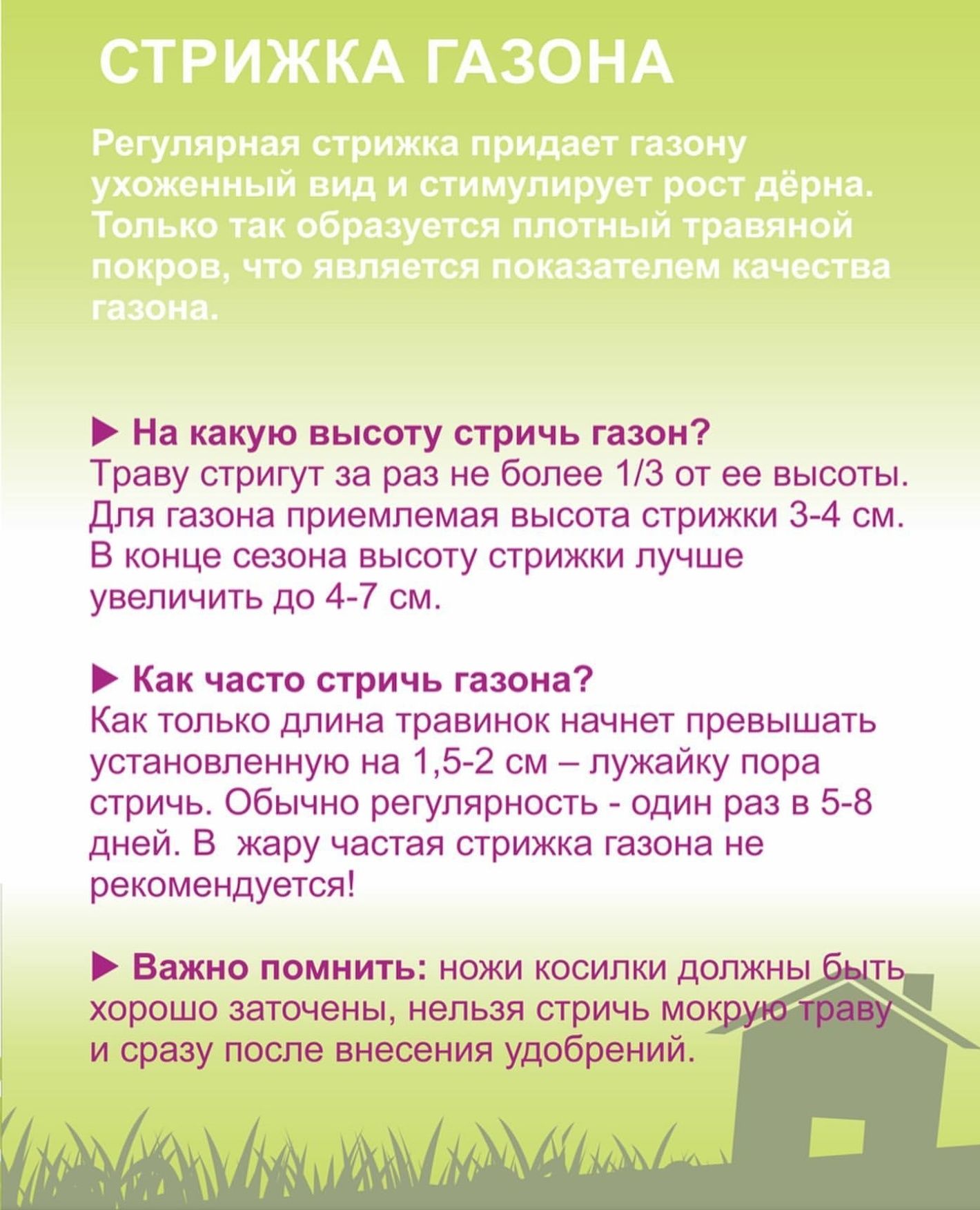 Газонная трава Бесплатно консультация по выбору семян травы для газона