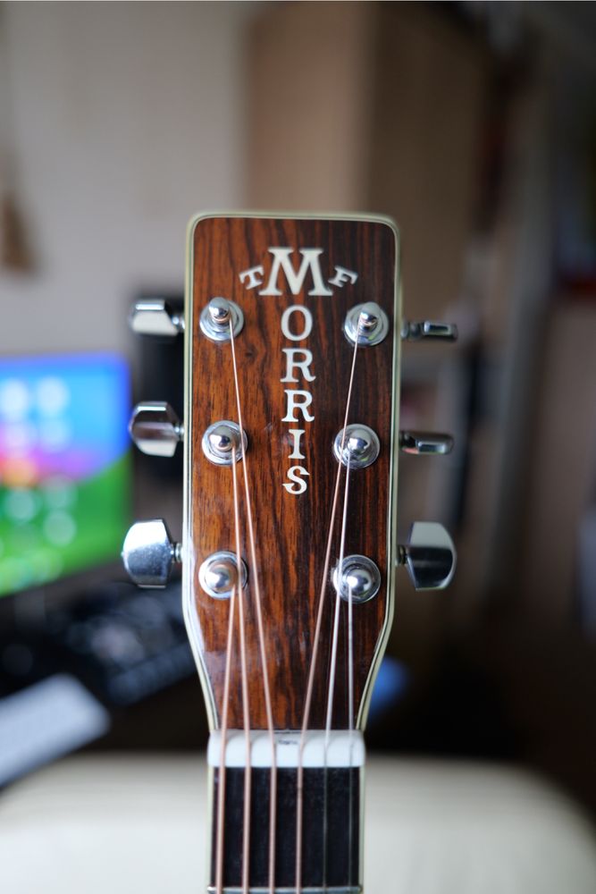 Morris W-50 ( analog Martin- D41 ) gitara premium LR baggs+futeral