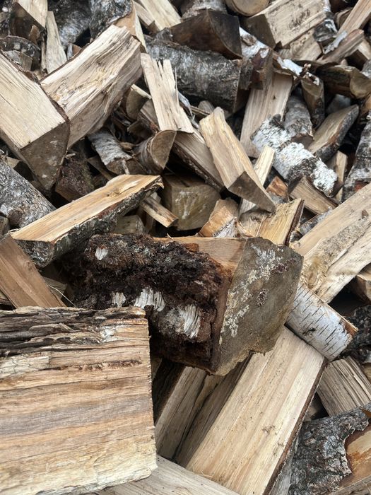 Drewno opałowe sosna brzorza dąb