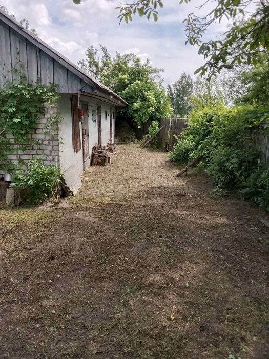 Продам будинок,Чернігівська об. с.Мостище