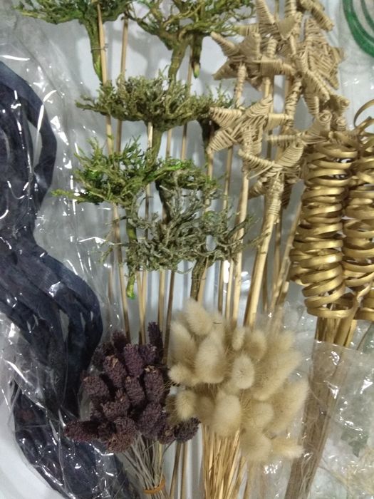 Material natural preservado