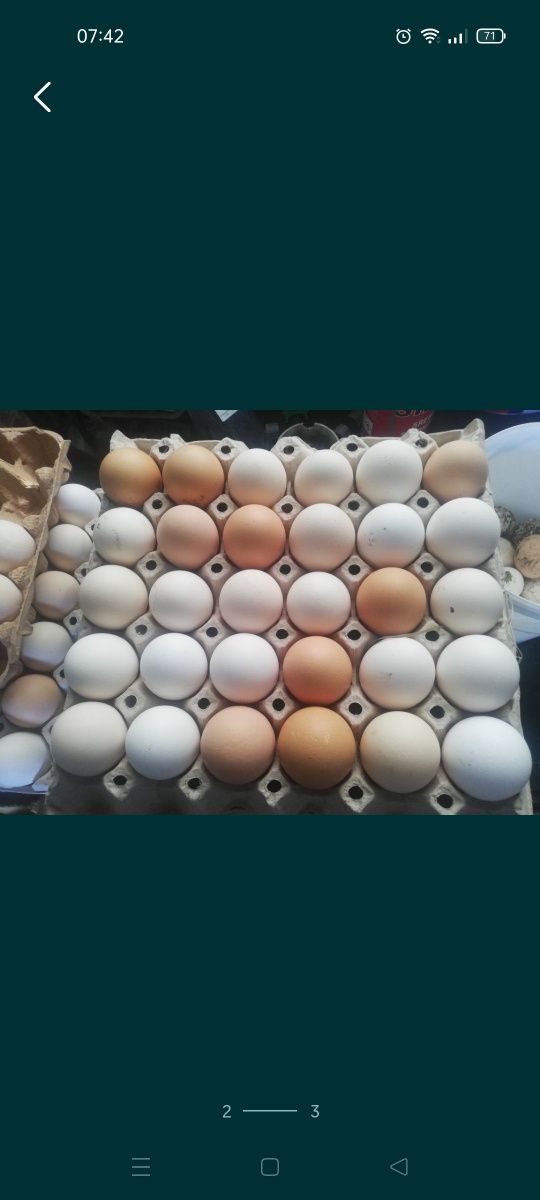 Swojskie jajka jaja